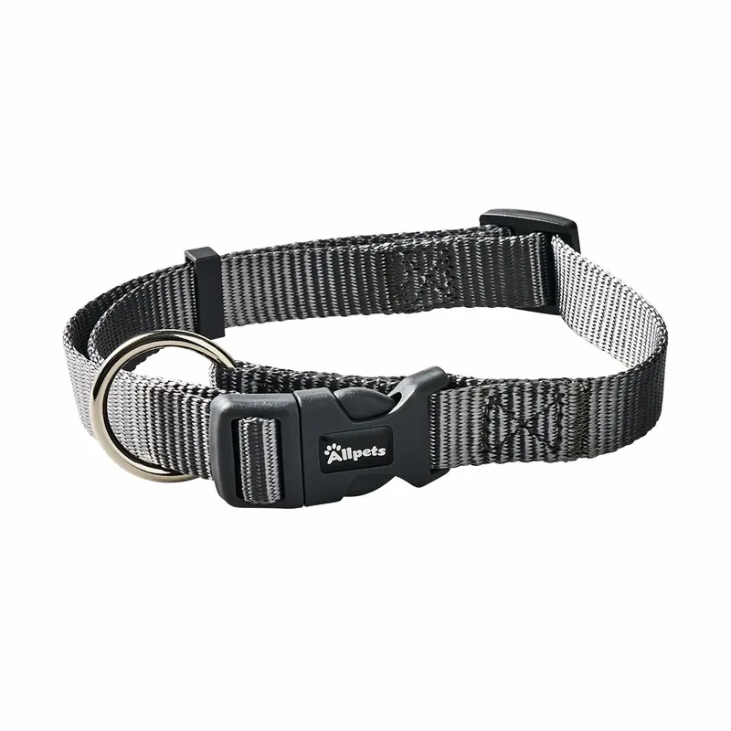 Allpets Classy Halsband XS–S 22–35 cm / 10 mm grey Schnäppchen